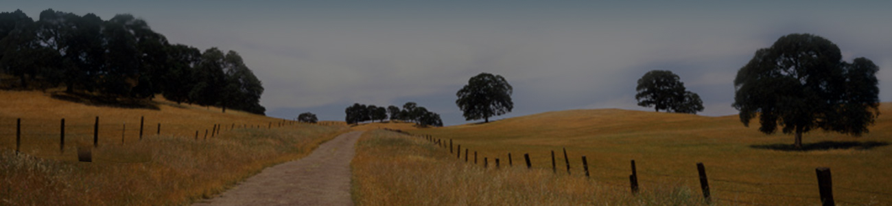 Landscape photograph taken from the center perspective of a dirt road, flanked by fences on either side, with trees in the background. The photograph is enhanced with a dark filter.