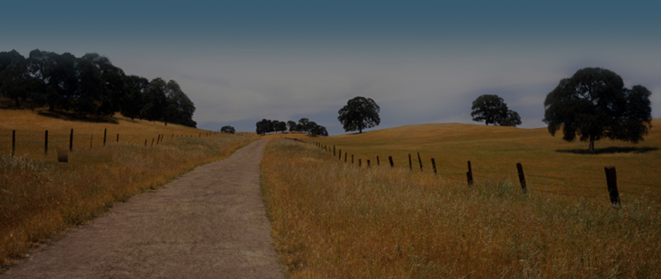 Landscape photograph taken from the center perspective of a dirt road, flanked by fences on either side, with trees in the background. The photograph is enhanced with a dark filter.