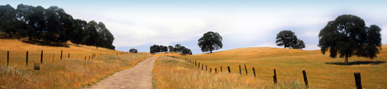 Internal-Page-Banner.jpg