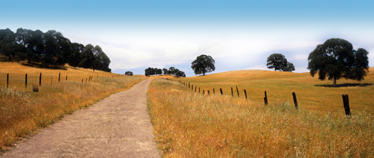 Main_Image_Banner.jpg